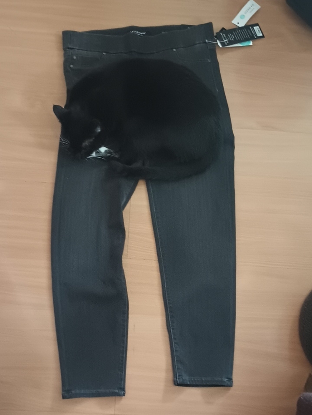 Fake Denim Pull On Jeans